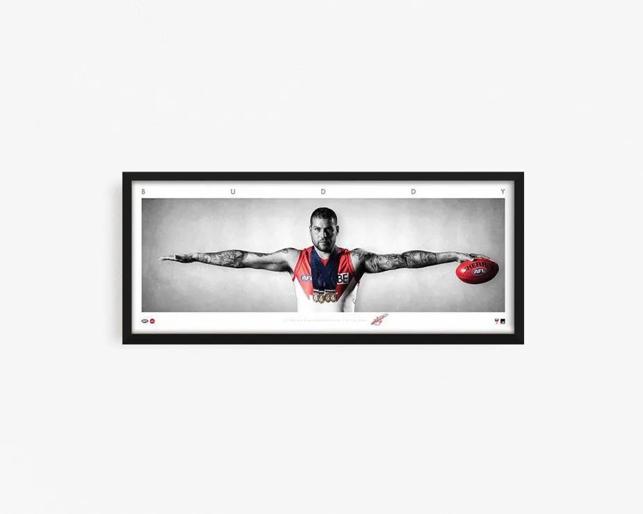 BUDDY FRANKLIN MINI WINGS
