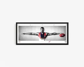 BUDDY FRANKLIN MINI WINGS