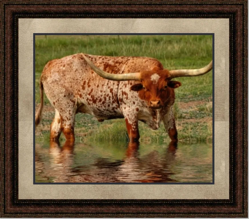 In the River | Cattle Art Canvas or Framed Print | Various Sizes